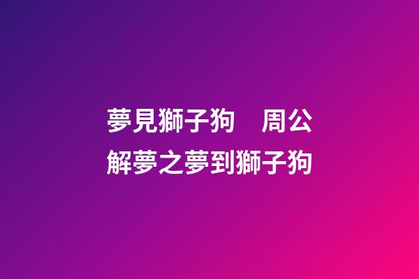 夢見獅子狗　周公解夢之夢到獅子狗